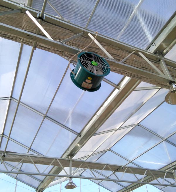 【智慧農業物聯網百科】農業物聯網技術在畜禽養殖方面的應用