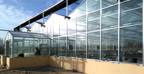 【智慧農業物聯網百科】農業物聯網技術在畜禽養殖方面的應用