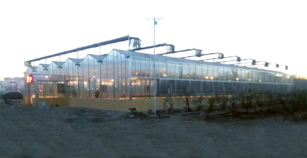 【智慧農業物聯網百科】農業物聯網技術在畜禽養殖方面的應用